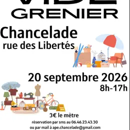 Vide-greniers