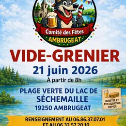 Vide Greniers