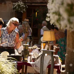 Vide-greniers de la foire à la châtaigne