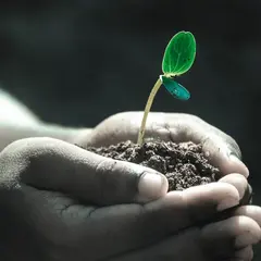Vide-greniers et bourse aux  plantes