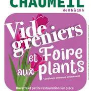 Vide- greniers et foire aux plants