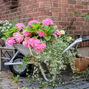 Vide jardin de printemps