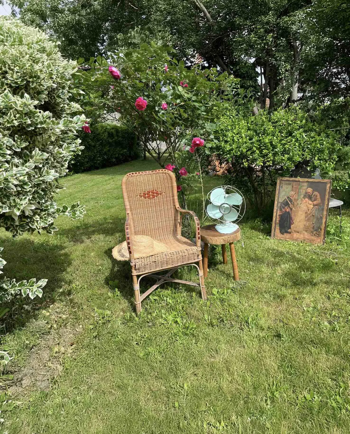 Vide Maison - Brocante Au Jardin