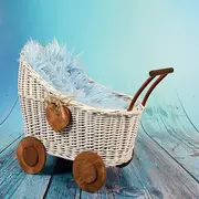 Vide poussette/greniers