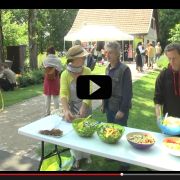Vidéo : Festival Vitarue à Mulhouse