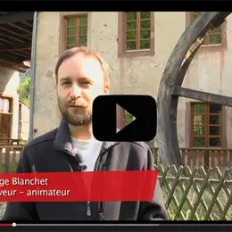 Vidéo : le Vivarium du Moulin à Lautenbach
