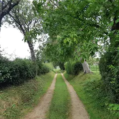 Vie de village et de quartier