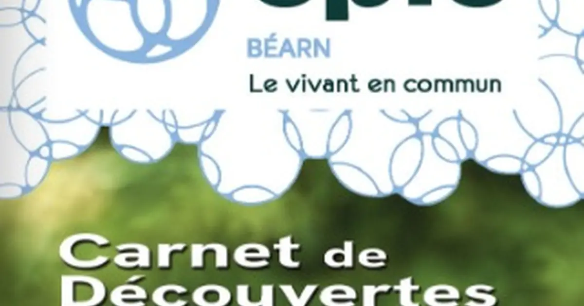 Vie sauvage des petites bêtes - Sortie CPIE