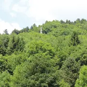 Escapade à Masevaux et dans la vallée de la Doller