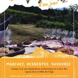 Vigneron D'Un Jour - Vino Enigma