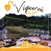 Vigneron D'Un Jour - Vino Enigma