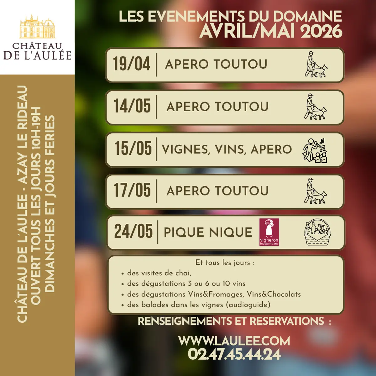 Vignes vins apéro au Château de l'Aulée