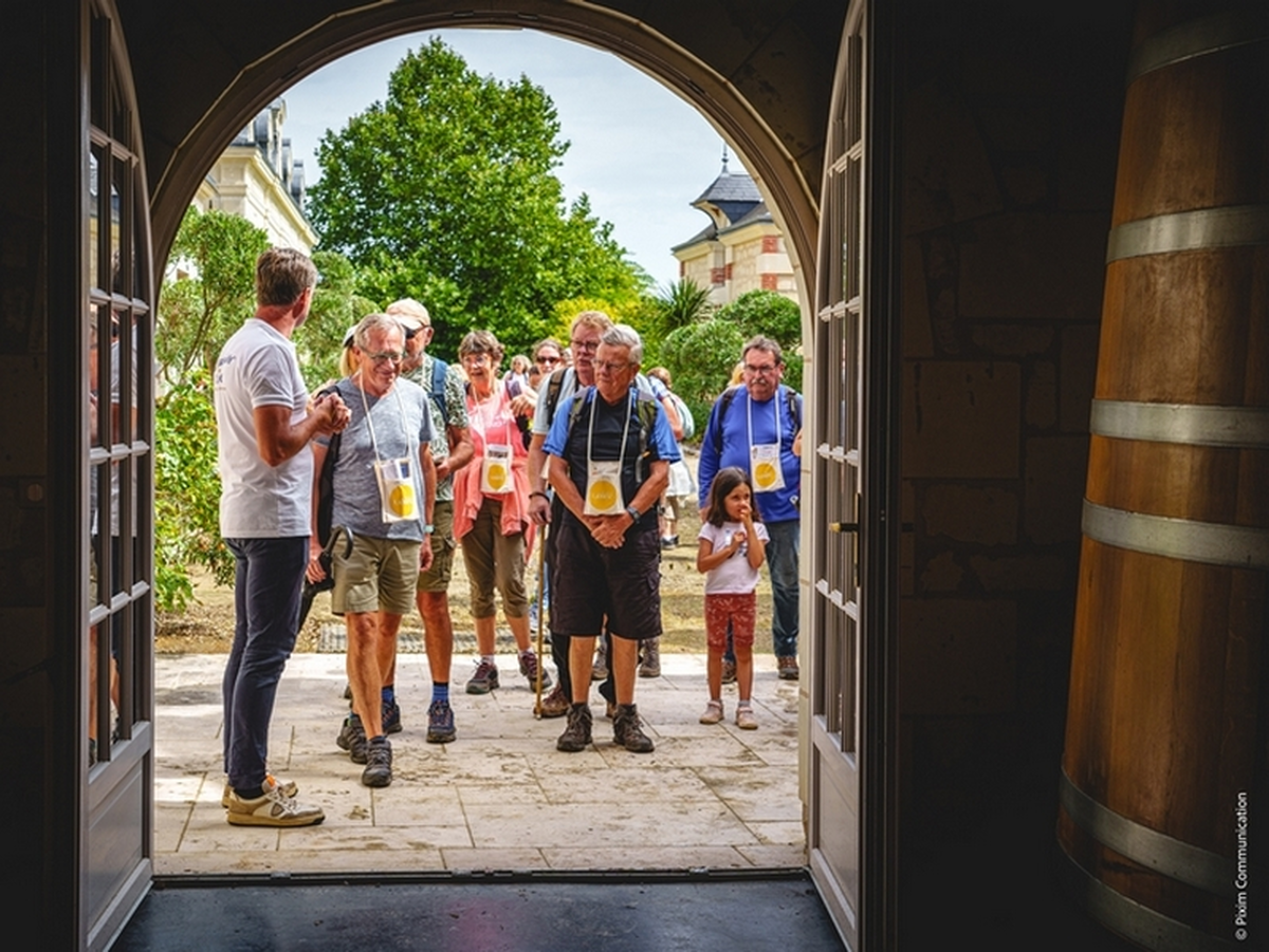 Vignes, Vins et Randos