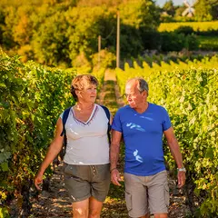 Vignes, Vins, Randos à Bourgueil !