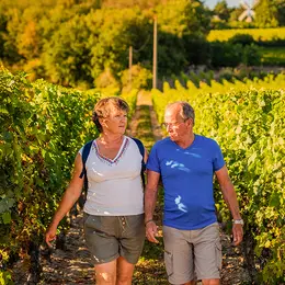 Vignes, Vins, Randos à Bourgueil !