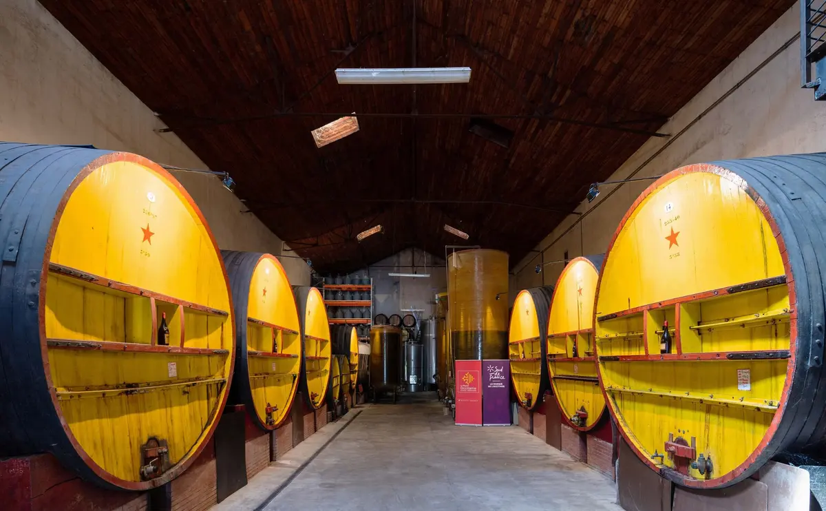 Vignoble En Scene - Degustation Vieux Millesimes A La Cave De L'Etoile