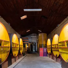Vignoble En Scene - Degustation Vieux Millesimes A La Cave De L'Etoile