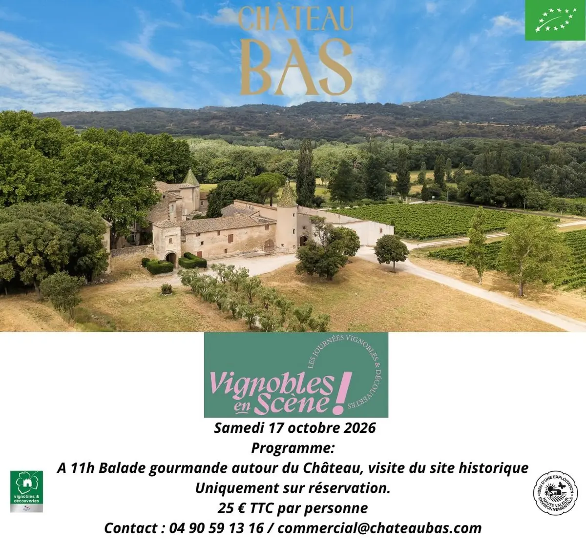 Vignobles en scène à Château Bas