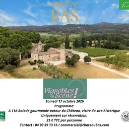 Vignobles en scène à Château Bas