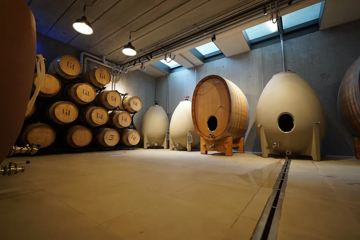 Vignobles en Scène au Domaine de Métifiot