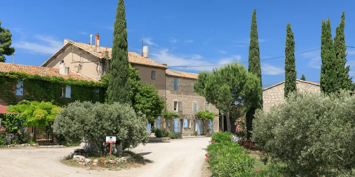 Vignobles en scène au Domaine de Suriane