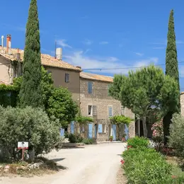 Vignobles en scène au Domaine de Suriane