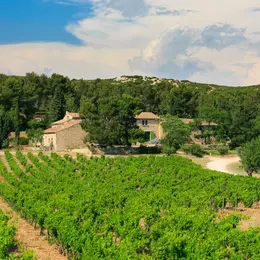 Vignobles en Scène au Mas de Gourgonnier