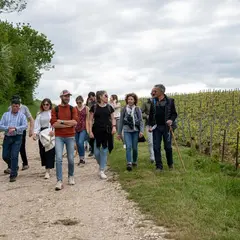 Vignobles en Scène - Balade Vigneronne avec le Champagne Binon-Coquard