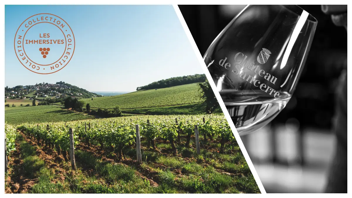 [Vignobles en scène!]: Dégustation œno-olfactive avec Vins & Parfum x V.U.E. sur vignes