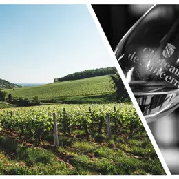[Vignobles en scène!]: Dégustation œno-olfactive avec Vins & Parfum x V.U.E. sur vignes