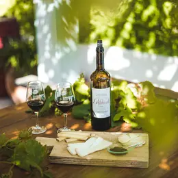 Vignobles En Scene - Dejeuner  Et Degustation Au Cave Tambour