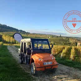 [Vignobles en Scène!]: Eco-circuit des terroirs de Sancerre