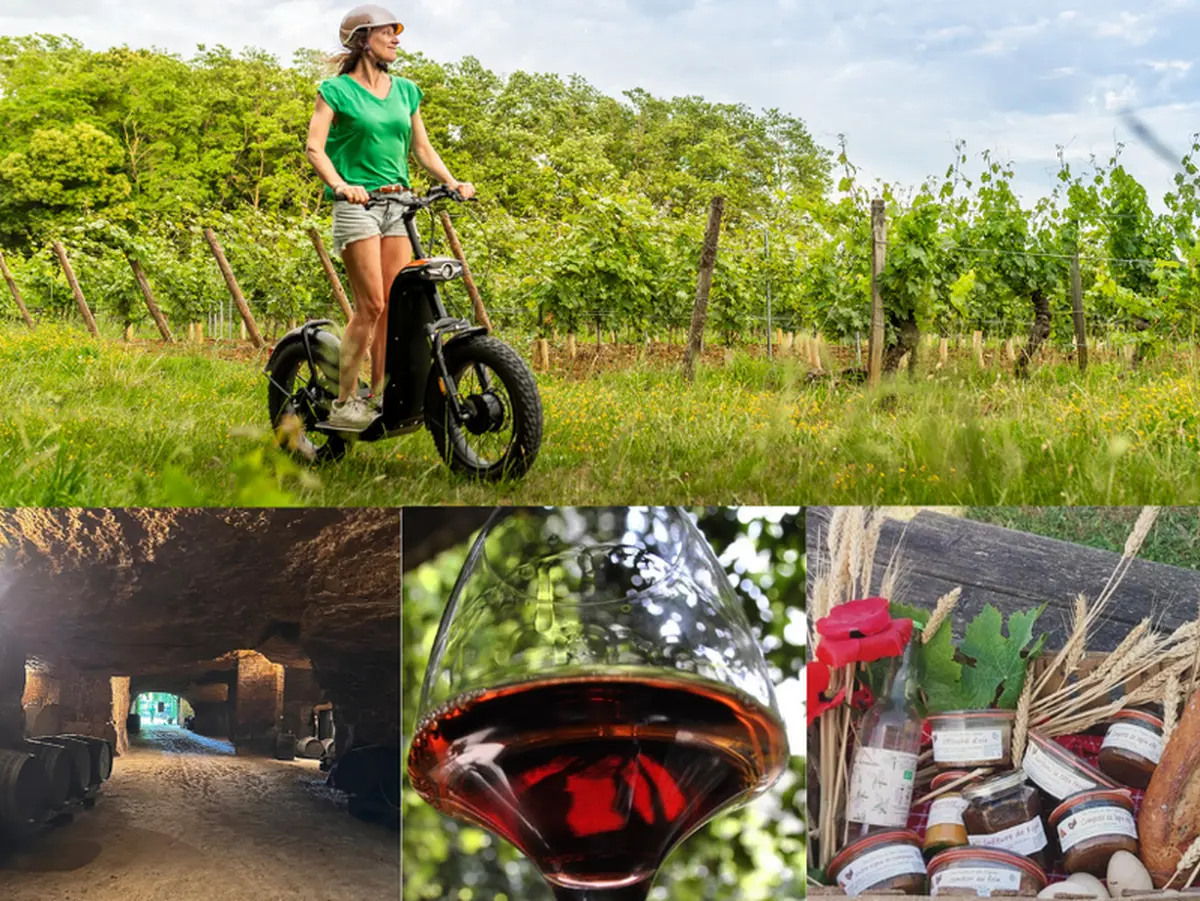 Vignobles en Scène - Escapade gourmande entre vignes et terroir en trottinette tout-terrain