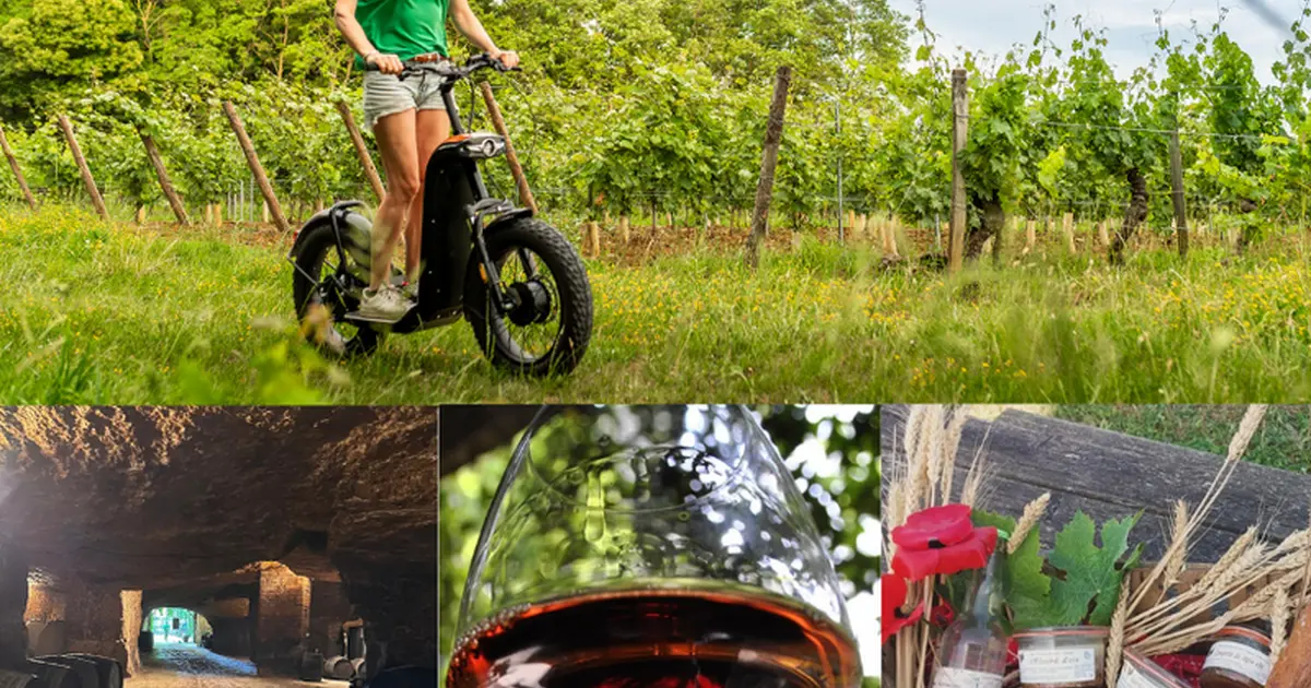 Vignobles en Scène - Escapade gourmande entre vignes et terroir en trottinette tout-terrain