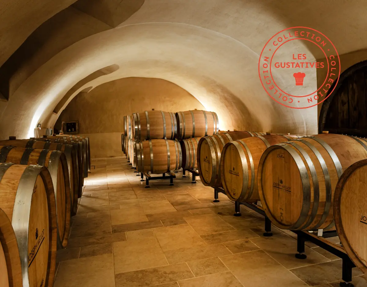 [Vignobles en scène] ESCAPE GAME Le millésime perdu