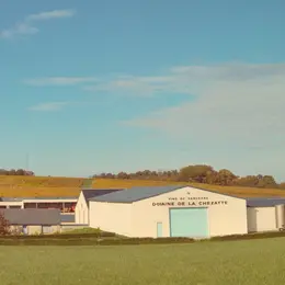 [Vignobles en scène!] Jeu de piste dans les vignes