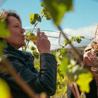 Pique-nique dans les vignes &copy; D. Levêque - ADT