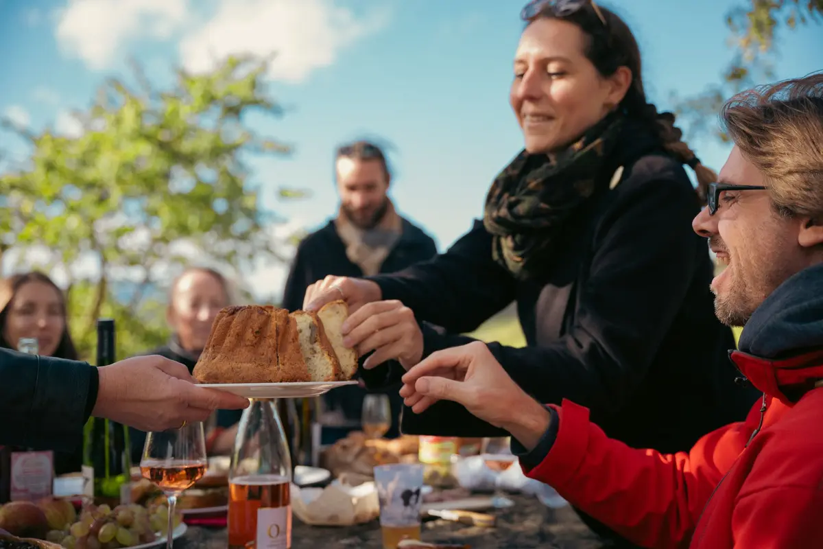 Pique-nique dans les vignes