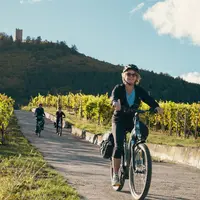Vélo dans les vignes &copy; D. Levêque - ADT