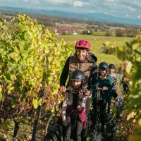 Segway dans les vignes &copy; D. Levêque - ADT