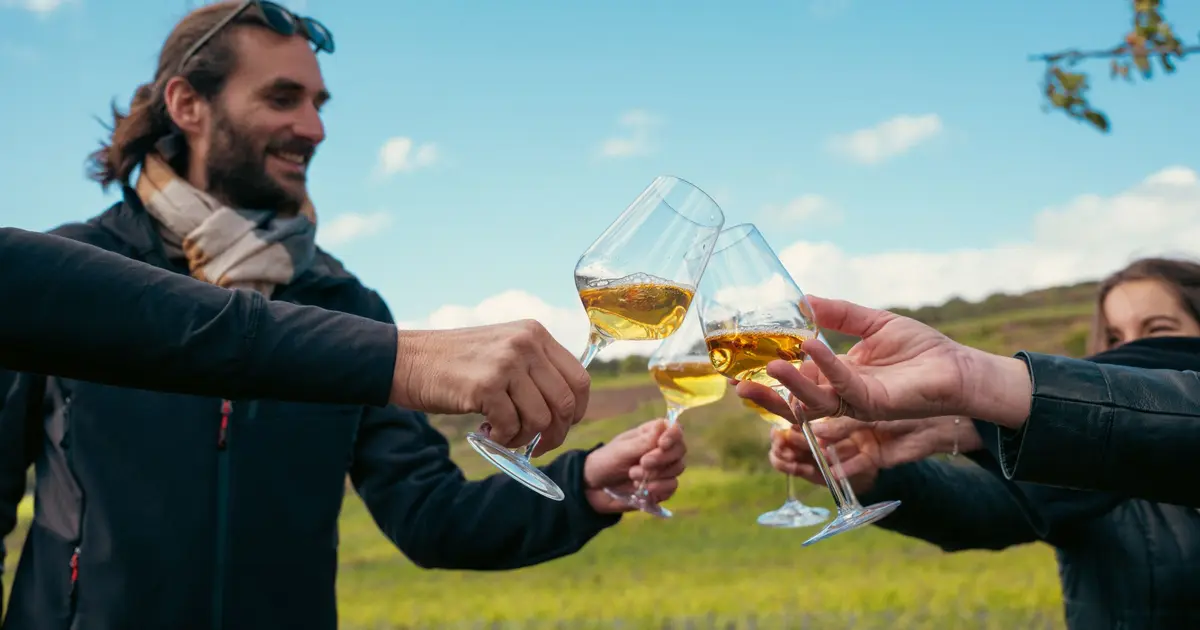 Vignobles en Scène : La Route des Vins d’Alsace en fête