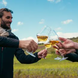 Vignobles en Scène : La Route des Vins d’Alsace en fête