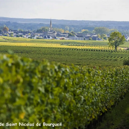 Vignobles en Scène ! - Reflets de vignes