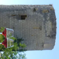 Vignobles en Scène ! - Vin et Forteresse