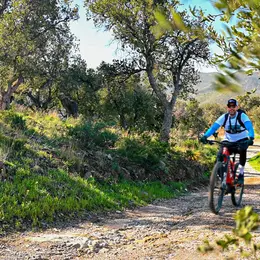 Vignobles En Scene - Vtt Et Cocktails Au Cave Tambour