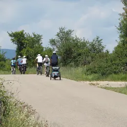 Vignobles en selle
