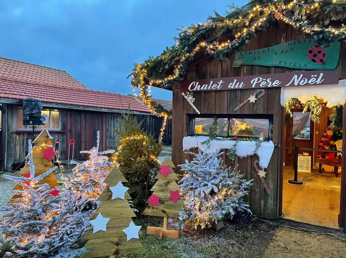 Village de Noël de Gujan-Mestras au Port de Larros