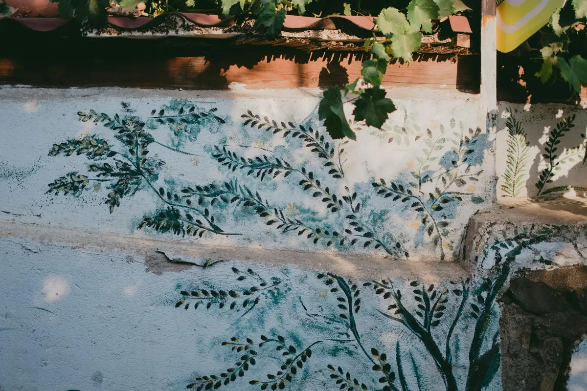 Villages, Vignes Et Garrigues