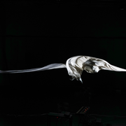 VINCENT DE MALHERBE (CAN TOUCH THIS) / Touch of Winds