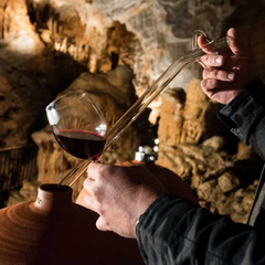 Vinospéléologie